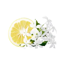 Citron & Jasmin