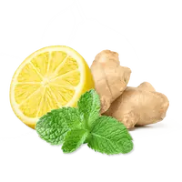 Citron vert - Menthe - Gingemre